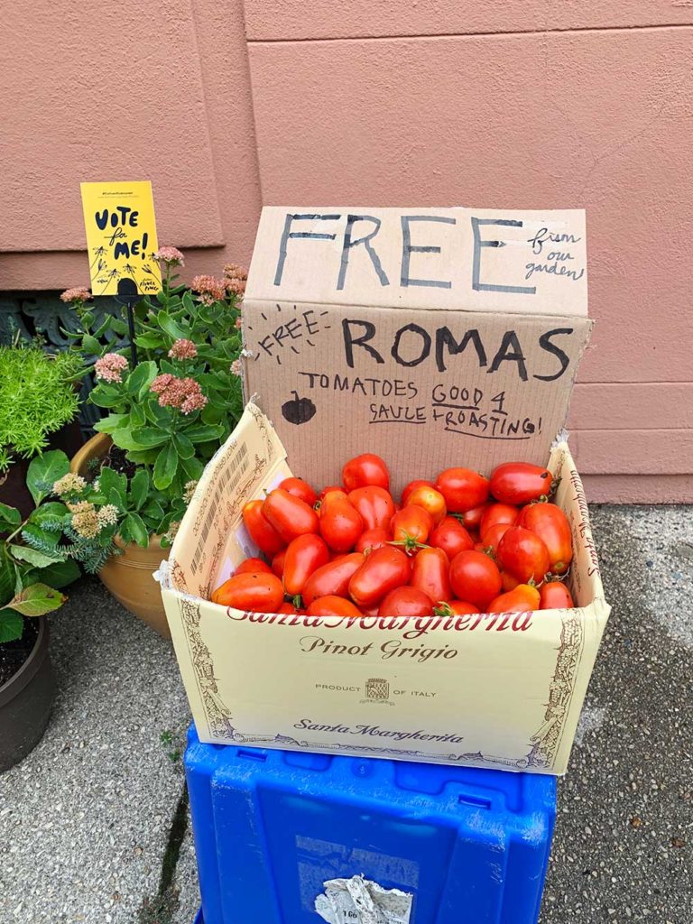 free roma tomatoes